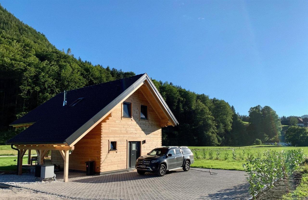 Das Gruenhaus - Dein Chalet In Грюнау-им-Альмталь Экстерьер фото